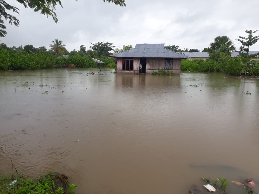 Hasil Panen Warga Desa Wederok Malaka Terendam Air Hujan