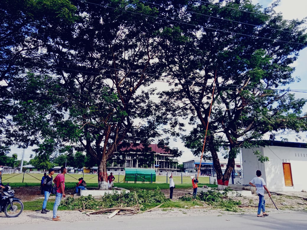 Cegah Gangguan, PLN Unit Betun Lakukan Grebek Penyulang Jaringan Ekstrim Di Kota Malaka