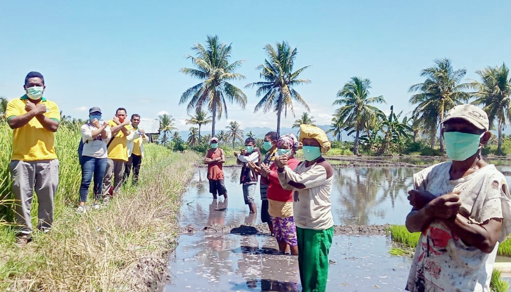 Ormas Pemuda Katolik Komisariat Cabang Nagekeo Bagi Masker  Pada Petani