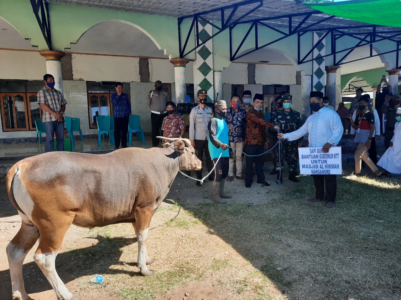 Sekda Sikka Serahkan 4 Hewan Kurban Pada 4 Masjid di Sikka