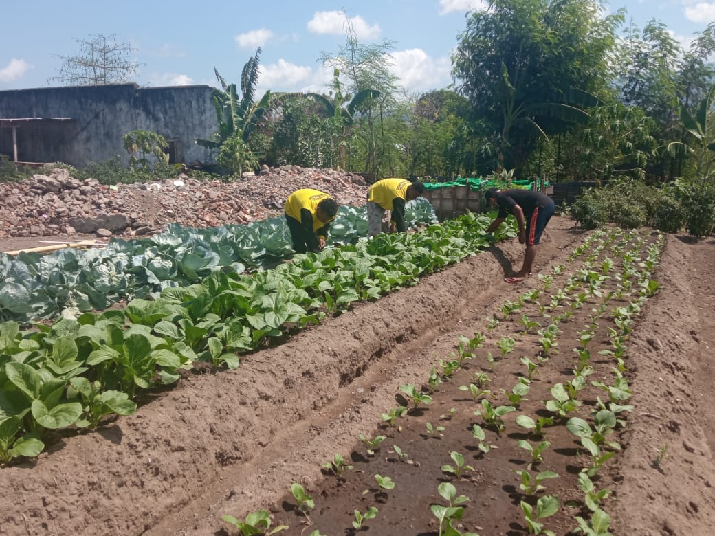 Spektrum NTT 12 Napi Asimilasi Rutan Kelas 2B Maumere Sulap Lahan 1