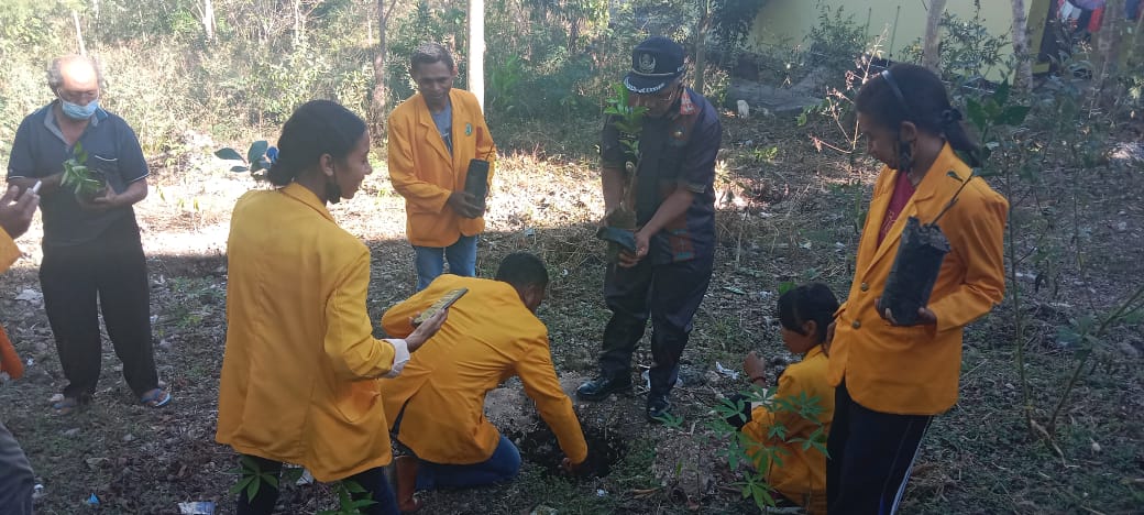 Lestarikan Varietas Unggulan, Mahasiswa KKN UNDANA 2021 Tanam Jeruk Keprok Di TTS