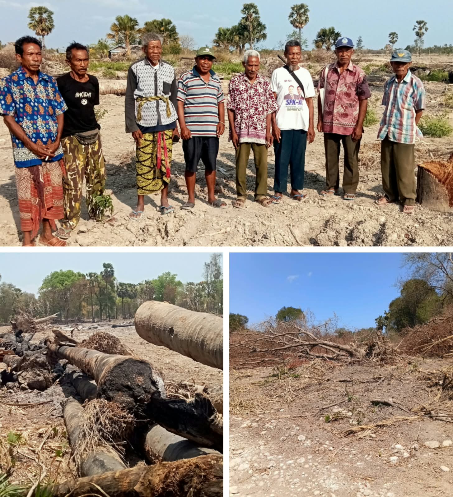 Ribuan Pohon Produktif Ditumbangkan Untuk Program CSR, Warga Oebelo Protes Keras