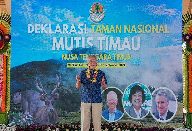 Gunung Mutis dan Ambisi  Yang Membunuh, Tokoh Adat Tak Berkutik