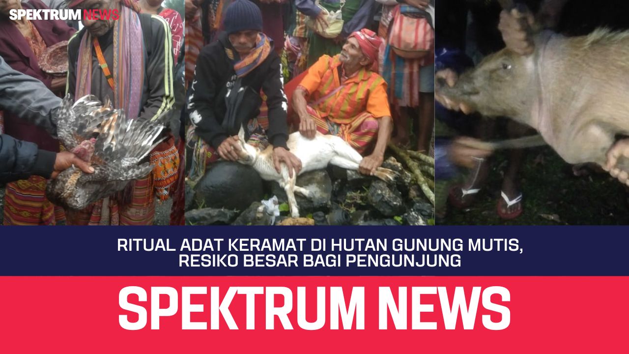 Ritual Adat Keramat  Di Hutan Gunung Mutis, Resiko besar Bagi  Pengunjung 