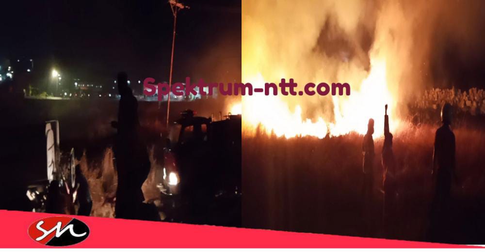 Terjadi Kebakaran di Dekat Kampus Poltek dan Undana Kupang, Ini Penyebabnya